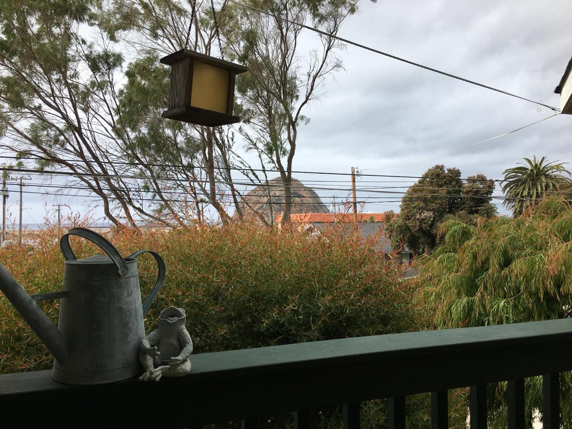 Marina Street Inn Morro Bay Rom bilde
